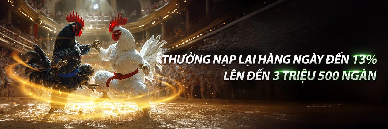 Đá Gà Trực Tuyến EV999